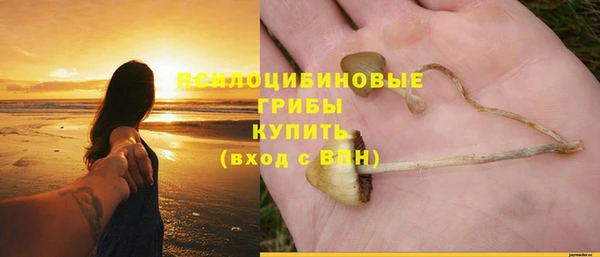 дурь Алзамай