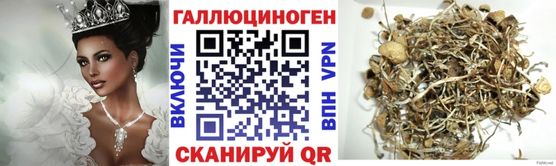 Псилоцибиновые грибы Magic Shrooms  Белоозёрский 